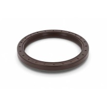 Oil Seal RICH 100x124x13 FPM 01029678B RICH
