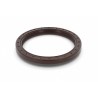 Oil Seal RICH 100x124x13 FPM 01029678B RICH