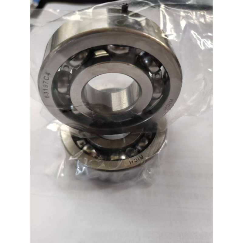 83197 C4 RICH 25x65x17 83197C4 RICH