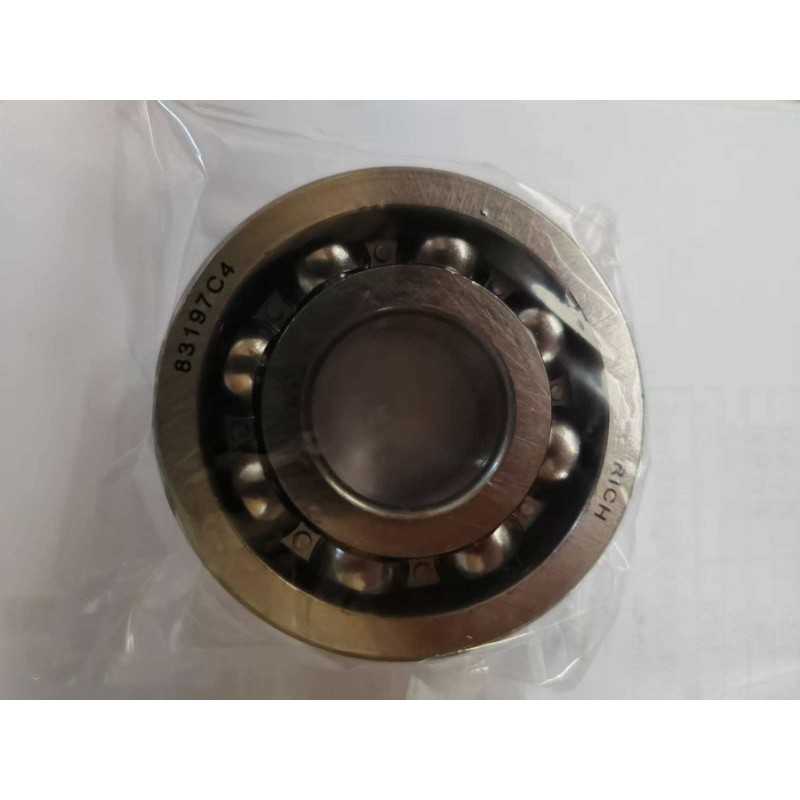 83197 C4 RICH 25x65x17 83197C4 RICH