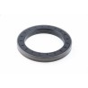 Oil Seal RICH 87,36x120,76x13/14,5 FPM/NBR 12020256B RICH