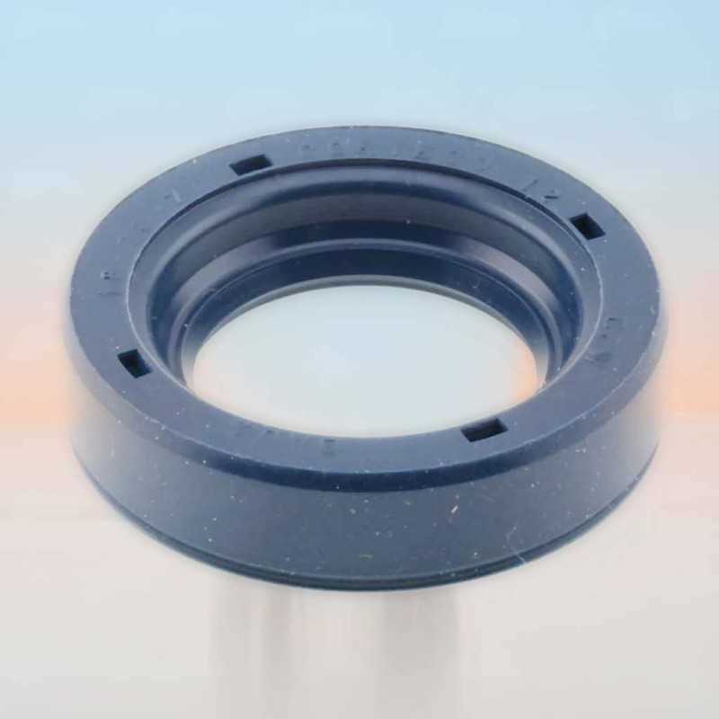 Oil Seal RICH 18x30x7 NBR 12010817B RICH