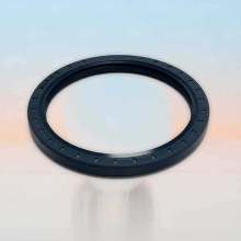Oil Seal RICH 130x160x13 NBR 12011368B RICH