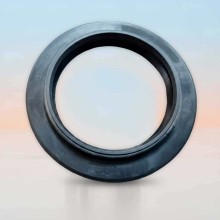 Oil Seal RICH 60x85x10/15 NBR 01029131B RICH