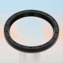 Oil Seal RICH 81x100x10 NBR 01027678B RICH