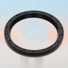 Oil Seal RICH 81x100x10 NBR 01027678B RICH