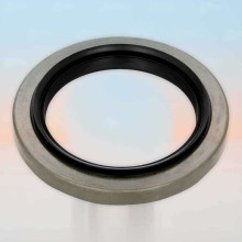 Oil Seal RICH 100x140x15/20,5 NBR 12015758B RICH