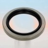 Oil Seal RICH 100x140x15/20,5 NBR 12015758B RICH