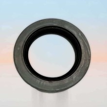 Oil Seal RICH 70x105x15 NBR 19031554B RICH