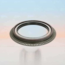 Oil Seal RICH 70x90x10/9,5 NBR 01029757B RICH