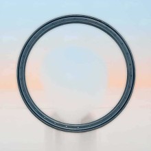 Oil Seal RICH 155x176,7x8 NBR 01032459B RICH