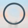 Oil Seal RICH 155x176,7x8 NBR 01032459B RICH