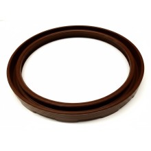 Oil Seal RICH 80x100x10/11,5 FPM 19026794B RICH