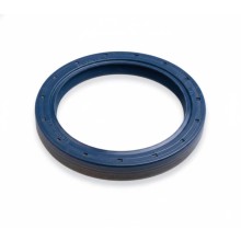 Oil Seal RICH 85x110x12 FPM 01020413B RICH